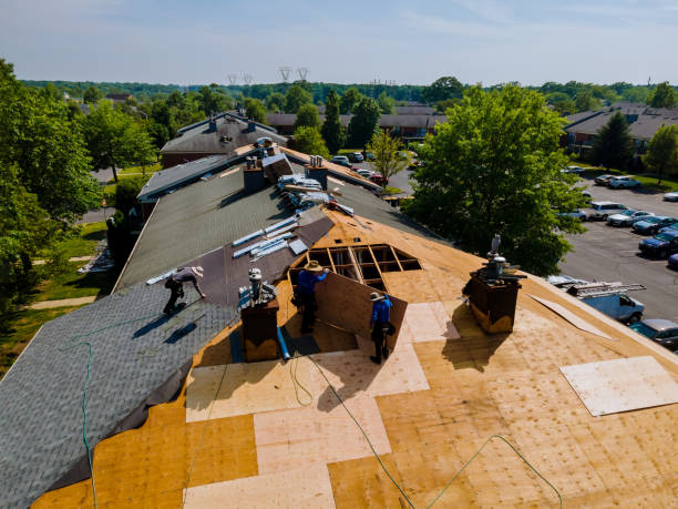 Best Roof Leak Repair  in Forest Meadows, CA