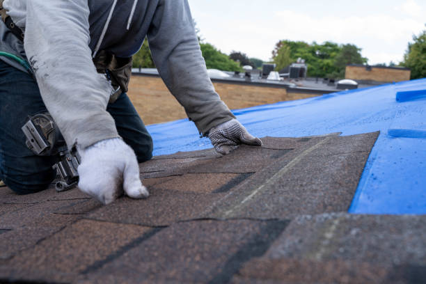 Best Residential Roofing Contractor  in Forest Meadows, CA
