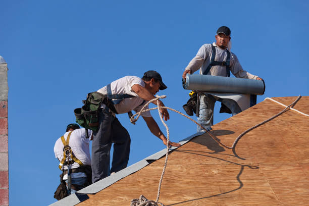Best Storm Damage Roof Repair  in Forest Meadows, CA