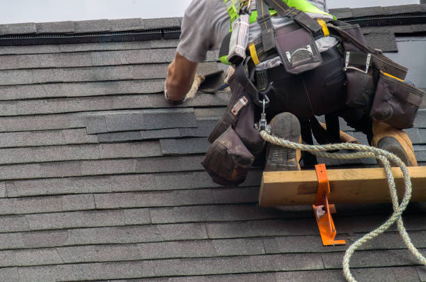 Best Metal Roofing Contractor  in Forest Meadows, CA