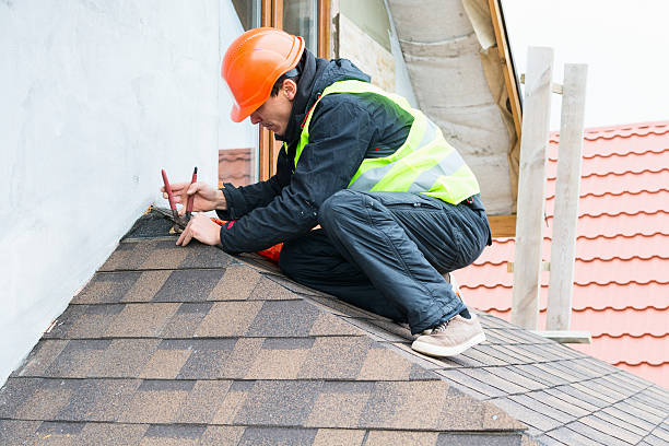 Best Roof Restoration Services  in Forest Meadows, CA