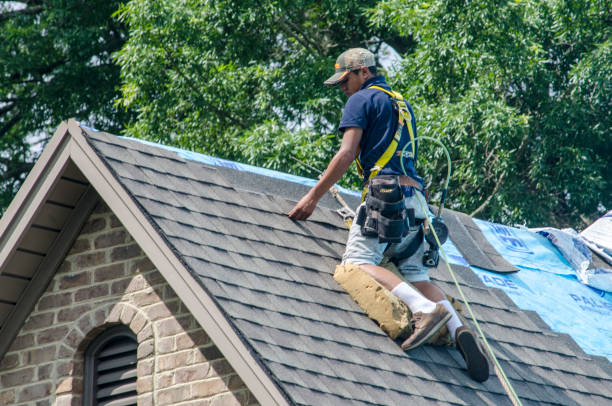 Best Affordable Roofing Company  in Forest Meadows, CA